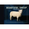 Beautiful Sheep Postcard Book - 30 Postcards of Champion Breeds to Keep or to Send (Paperback) - Ivy Press Photo