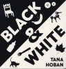 Black and White (Board book) - Tana Hoban Photo