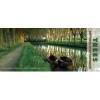 Trees Panoramic Wall Calendar (Calendar) -  Photo