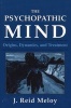 The Psychopathic Mind - Origins, Dynamics, and Treatment (Paperback) - Reid J Meloy Photo