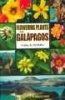 Flowering Plants of the Galaapagos (Paperback) - Conley K McMullen Photo