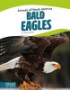 Bald Eagles (Hardcover) - Tyler Omoth Photo