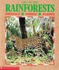 Life in the Rain Forests (Paperback) - Lucy Baker Photo