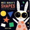 Miss Bunny's Shapes - A Fun Lift-The-Flap Book (Board book) - Becky Baur Photo