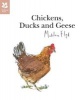 Chickens, Ducks and Geese (Hardcover) - Madeleine Floyd Photo