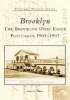 Brooklyn:: The Brooklyn Daily Eagle Postcards 1905-1907 (Paperback) - Richard L Dutton Photo