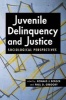 Juvenile Delinquency and Justice - Sociological Perspectives (Paperback) - Ronald J Berger Photo