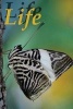 Life - A Selection of Proverbs, Quotes, Sayings, and Expressions (Paperback) - Rosemary Lawton Photo