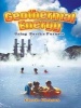 Geothermal Energy - Using Earth's Furnace (Paperback) - Carrie Gleason Photo