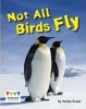 Not All Birds Fly (Paperback) - Jaclyn Crupi Photo