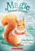 Sophie Flufftail's Brave Plan (Paperback) - Daisy Meadows Photo