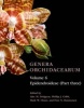 Genera Orchidacearum, Part 3 - Epidendroideae (Hardcover) - Alec M Pridgeon Photo