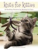 Knits for Kitties - 25 Knitting Patterns for Making Cat Toys (Paperback) - Sara Elizabeth Kellner Photo