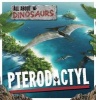 Pterodactyl (Hardcover) - Amy Allatson Photo