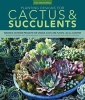 Planting Designs for Cactus & Succulents - Indoor and Outdoor Projects for Unique, Easy-Care Plants in All Climates (Paperback) - Sharon Asakawa Photo