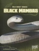 Black Mambas (Paperback) - Melanie A Howard Photo