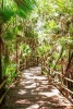 Website Password Organizer a Bridge in Bacab Jungle Park, Belize - Password/Login/Website Keeper/Organizer Never Worry about Forgetting Your Website Password or Login Again! (Paperback) - Unique Journal Photo