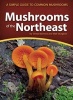 Mushrooms of the Northeast - A Simple Guide to Common Mushrooms (Paperback) - Teresa Marrone Photo