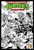 Teenage Mutant Ninja Turtles Adventures, Volume 4 (Paperback) - Ken Mitchroney Photo