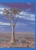 The First Bushman's Path - Stories, Songs and Testimonies of the Exam of the Northern Cape (Paperback) - Alan James Photo