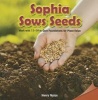 Sophia Sows Seeds - Work with 11-19 to Gain Foundations for Place Value (Paperback) - Henry Nolan Photo