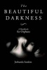 The Beautiful Darkness - A Handbook for Orphans (Paperback) - Joshunda Sanders Photo