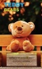 Teddy Bears Weekly Planner 2017 - 16 Month Calendar (Paperback) - David Mann Photo