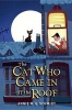 The Cat Who Came in Off the Roof (Paperback) - Annie M G Schmidt Photo