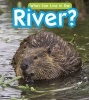 What Can Live in a River? (Paperback) - John Paul Wilkins Photo