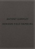 Antony Gormley: Horizon Field Hamburg (Paperback) - Dirk Luckow Photo