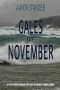 Gales of November - A Ray Elkins Thriller (Paperback) - Aaron Stander Photo