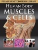 Muscular System (Hardcover) - Pegasus Photo