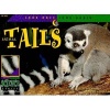 Animal Tails (Paperback) - David M Schwartz Photo