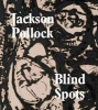 Blind Spots Jackson Pollock (Paperback) - Gavin Delahunty Photo