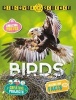 Birds (Paperback) - Nicola Davies Photo