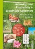 Improving Crop Productivity in Sustainable Agriculture (Hardcover) - Narendra Tuteja Photo