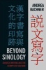 Beyond Sinology - Chinese Writing and the Scripts of Culture (Hardcover) - Andrea Bachner Photo