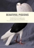 Beautiful Pigeons Journal (Hardcover, Shrinkwrapping) - Ivy Press Photo