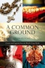 Common Ground - Lessons and Legends from the World's Great Faiths (Hardcover) - Todd Outcalt Photo