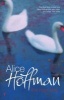 The River King (Paperback, Reissue) - Alice Hoffman Photo