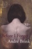 Before I Forget (Paperback) - Andre Brink Photo