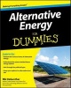 Alternative Energy For Dummies (Paperback) - Rik DeGunther Photo