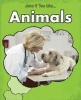 Animals (Hardcover) - Charlotte Guillain Photo