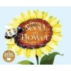 From Seed to Flower (Book) - Steven Anderson Photo