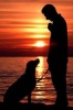 Man's Best Friend Journal - 150 Page Lined Notebook/Diary (Paperback) - Cool Image Photo