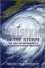 Invisible in the Storm - The Role of Mathematics in Understanding Weather (Hardcover) - Ian Roulstone Photo