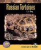 Russian Tortoises (Paperback) - E J Pirog Photo