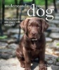 Understanding Your Dog - How to Interpret What Your Dog is Really Telling You (Paperback) - David Alderton Photo