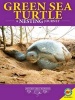 Green Sea Turtles - A Nesting Journey (Hardcover) - Rebecca E Hirsch Photo