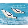 's Norfolk Bird Sketches (Paperback) - Robert Gillmor Photo